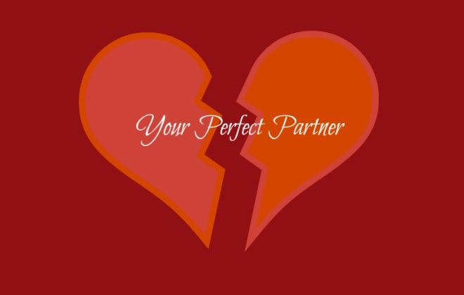 Finding your perfect partner