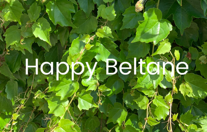 Enjoy the Beltane Festival