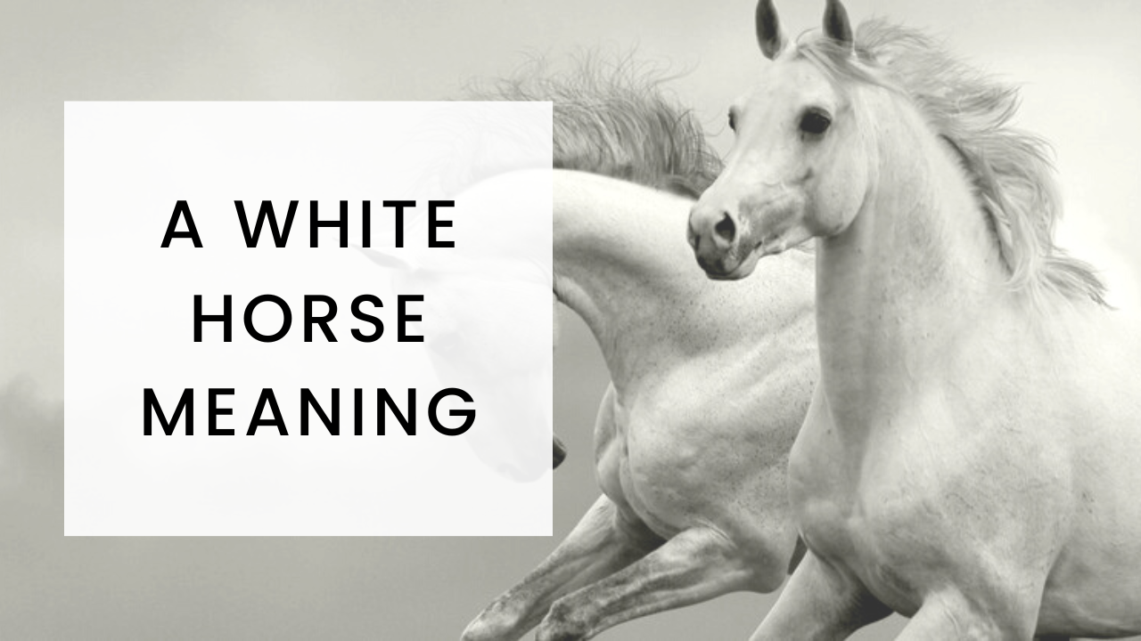 A White Horse Meaning Katrina Jane